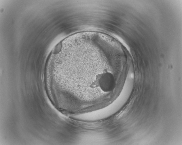 X0000069811007200606161845