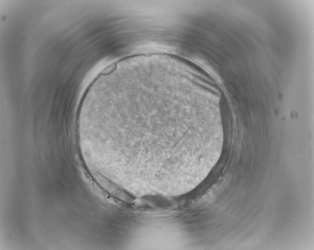 X0000069811008200606161845