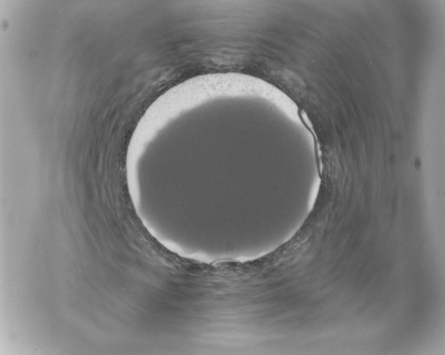 X0000069811009200606161844