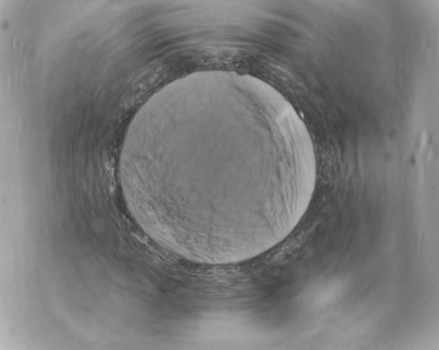 X0000069811013200606161844