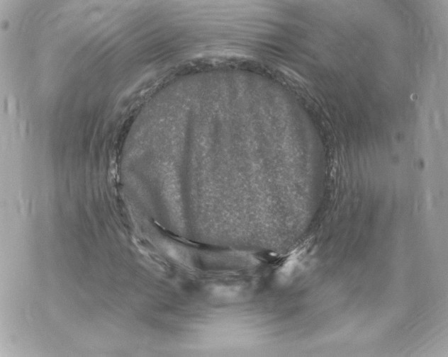 X0000069811014200606161844