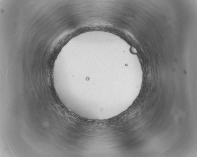 X0000069811016200606161844