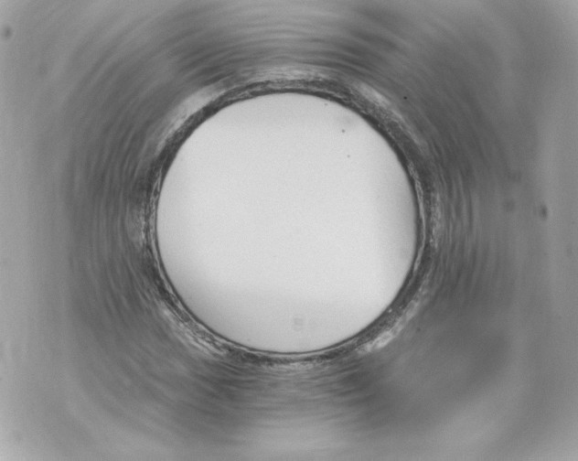 X0000069811017200606161844