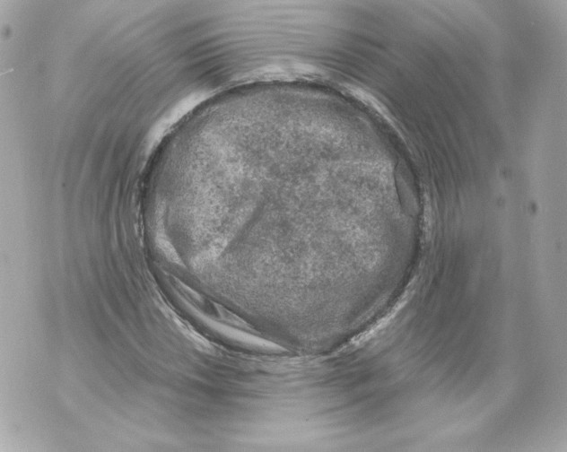 X0000069811018200606161844