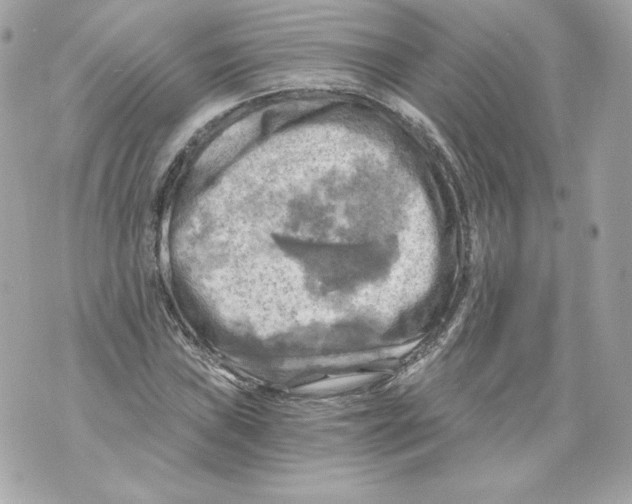 X0000069811019200606161844