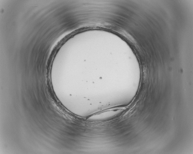 X0000069811020200606161844