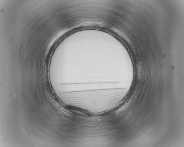 X0000069811021200606161844