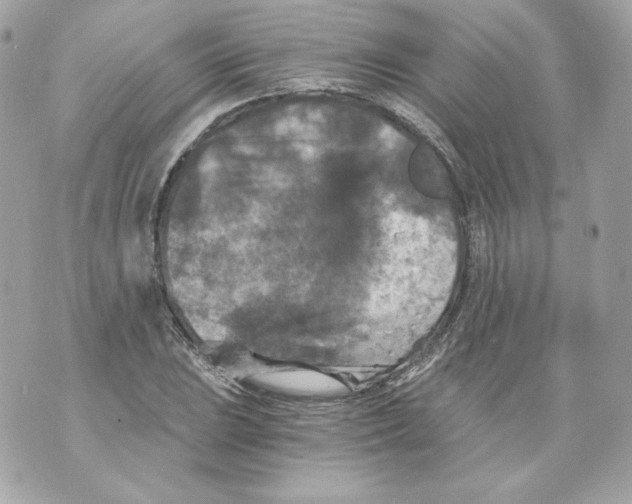 X0000069811023200606161844