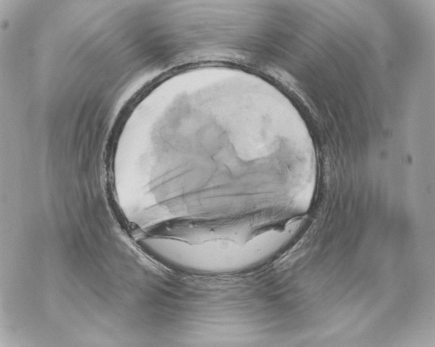 X0000069811024200606161844