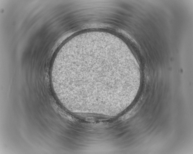 X0000069811025200606161844