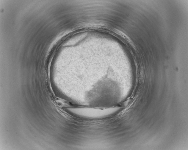 X0000069811027200606161844