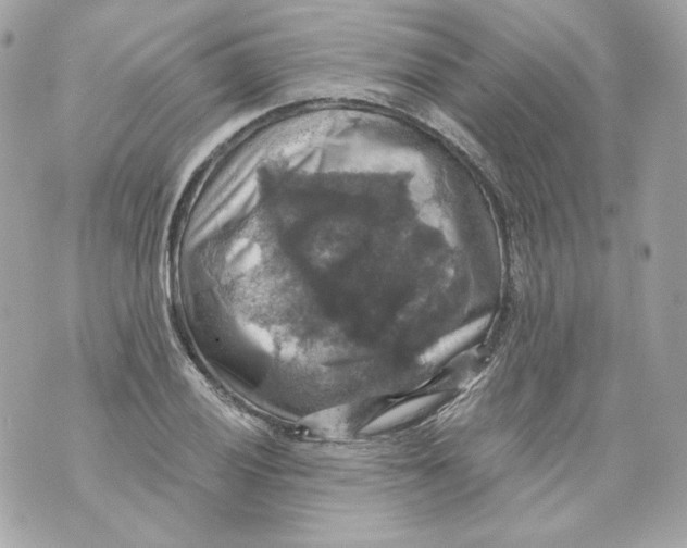 X0000069811028200606161844