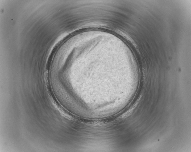 X0000069811029200606161844