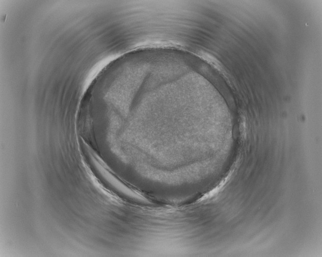 X0000069811030200606161844