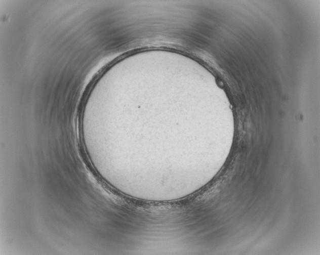 X0000069811032200606161844