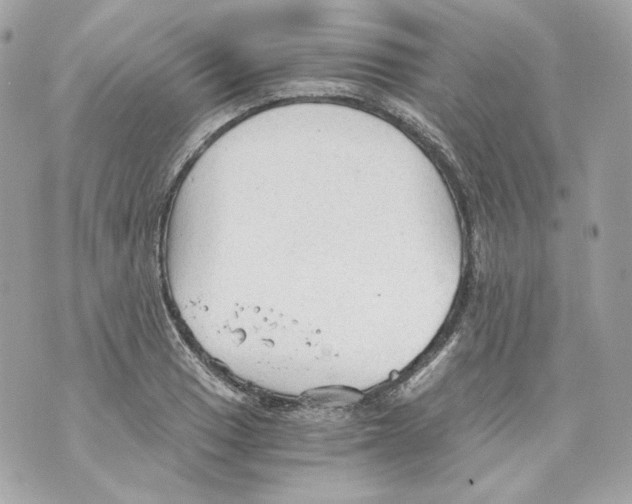 X0000069811033200606161844