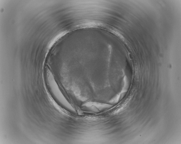 X0000069811034200606161844