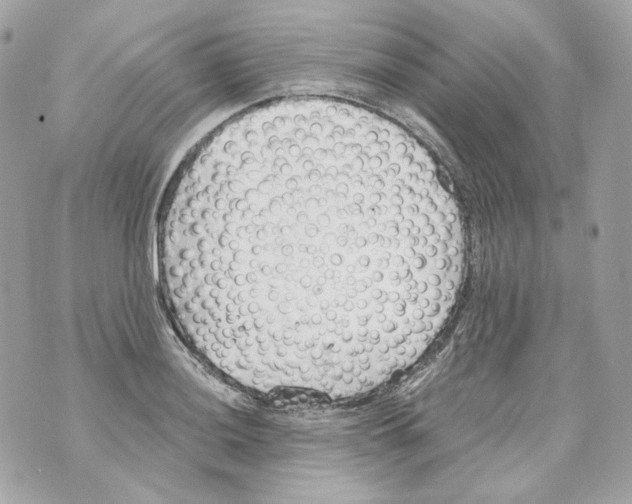 X0000069811036200606161844