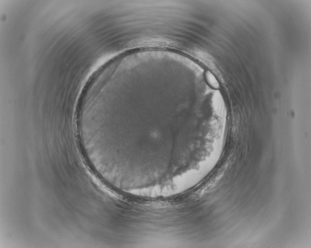 X0000069811037200606161844