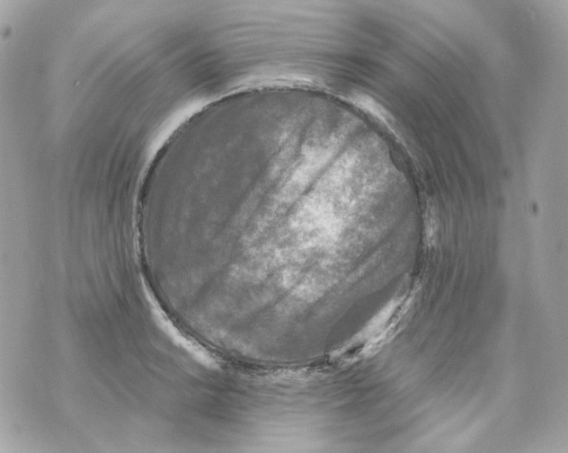 X0000069811038200606161844