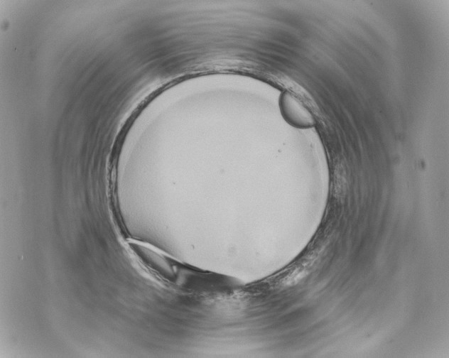 X0000069811039200606161844