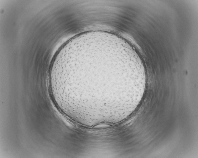 X0000069811040200606161844