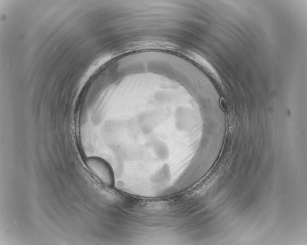 X0000069811043200606161844