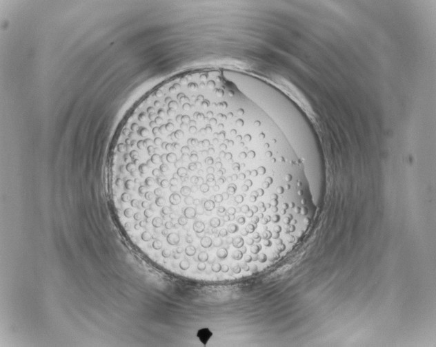 X0000069811044200606161844