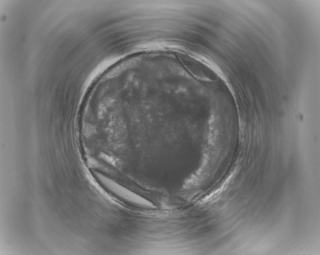 X0000069811045200606161844