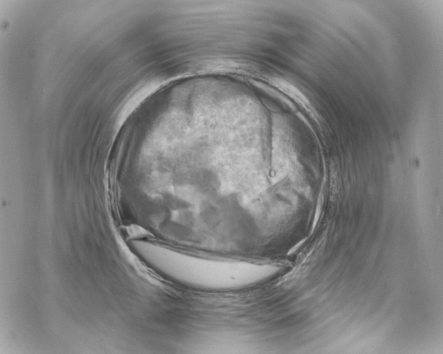 X0000069811047200606161844