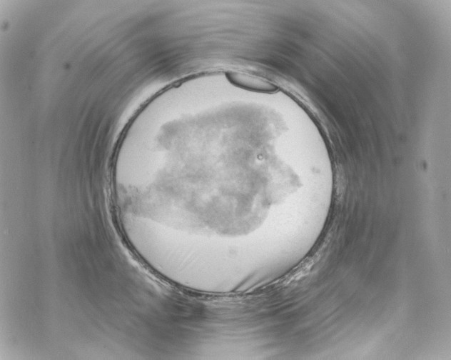 X0000069811048200606161844