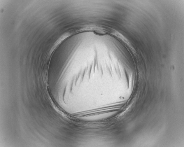 X0000069811049200606161844