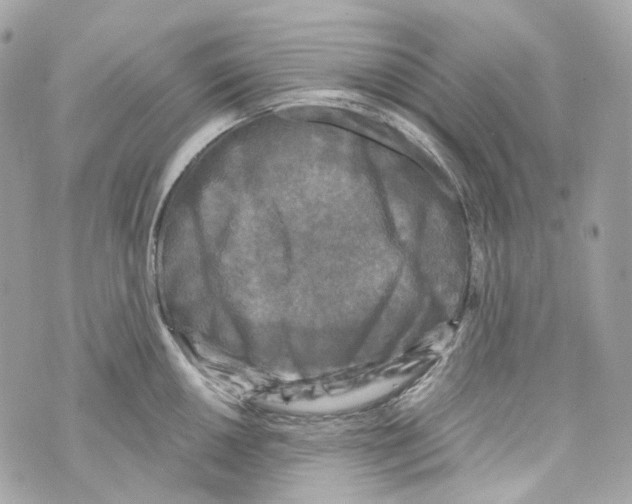 X0000069811050200606161844