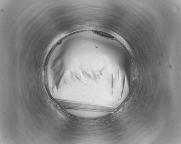 X0000069811051200606161844