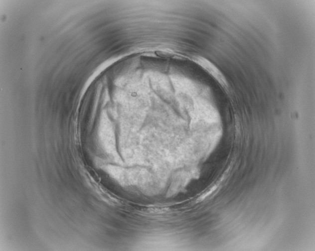 X0000069811052200606161844