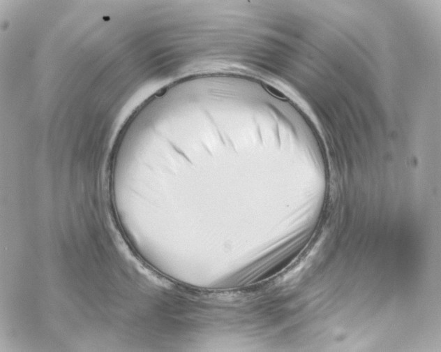 X0000069811053200606161844