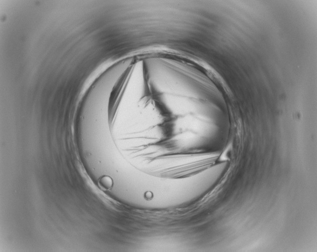 X0000069811054200606161844