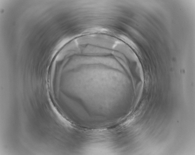 X0000069811055200606161844