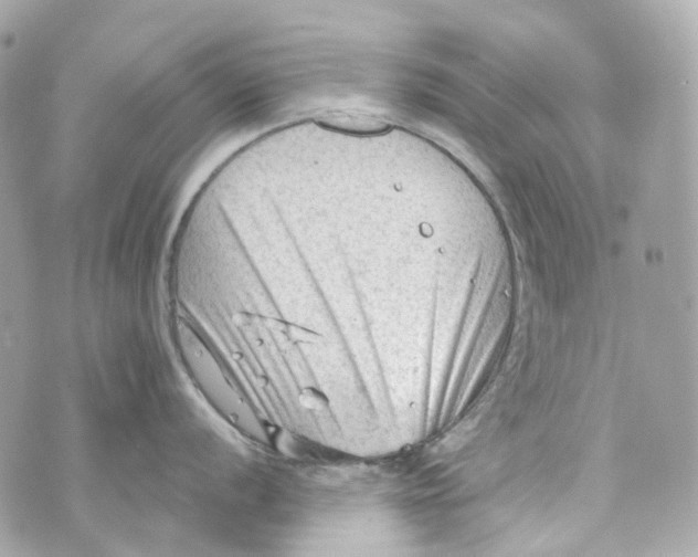 X0000069811056200606161844