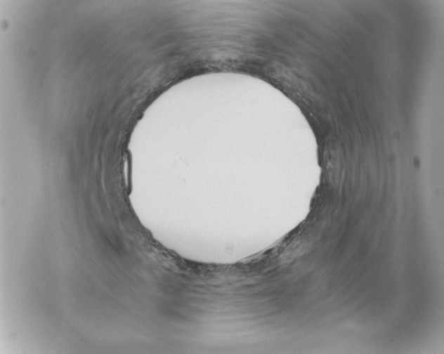 X0000069811057200606161844