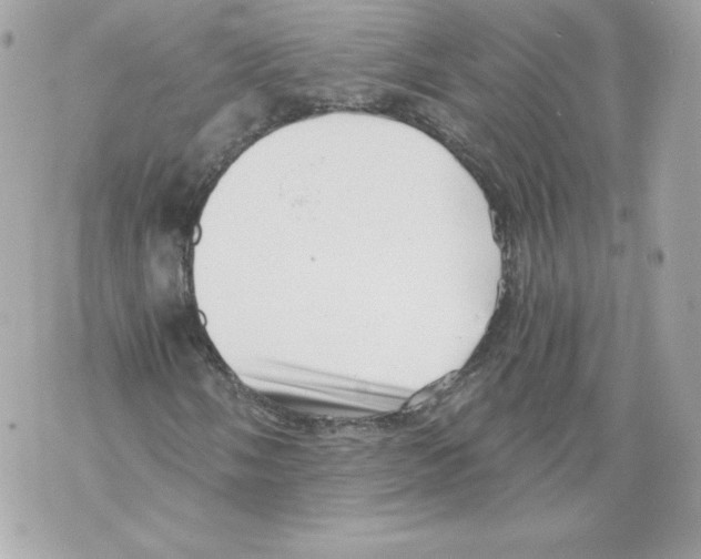 X0000069811058200606161844