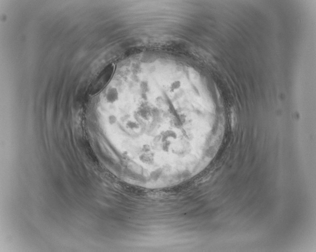 X0000069811059200606161844