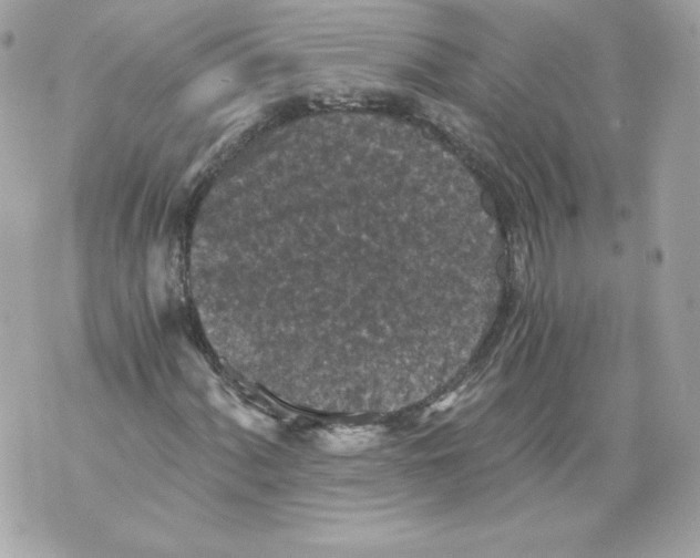 X0000069811060200606161843