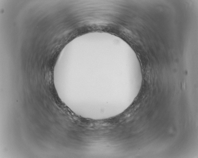 X0000069811061200606161843