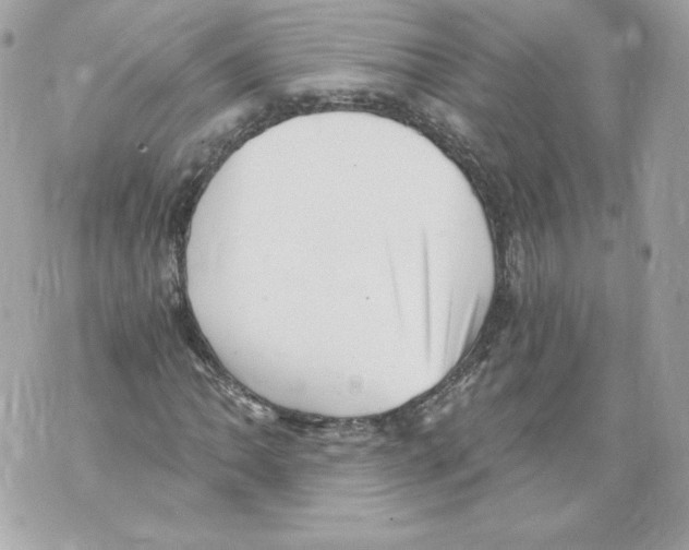 X0000069811062200606161843