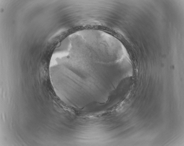 X0000069811063200606161843