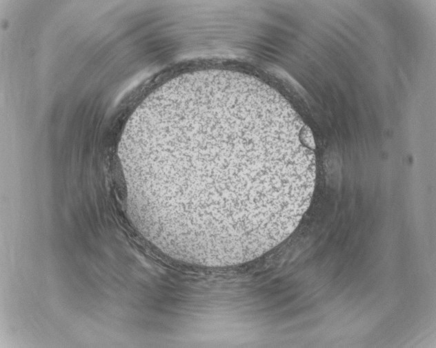 X0000069811064200606161843