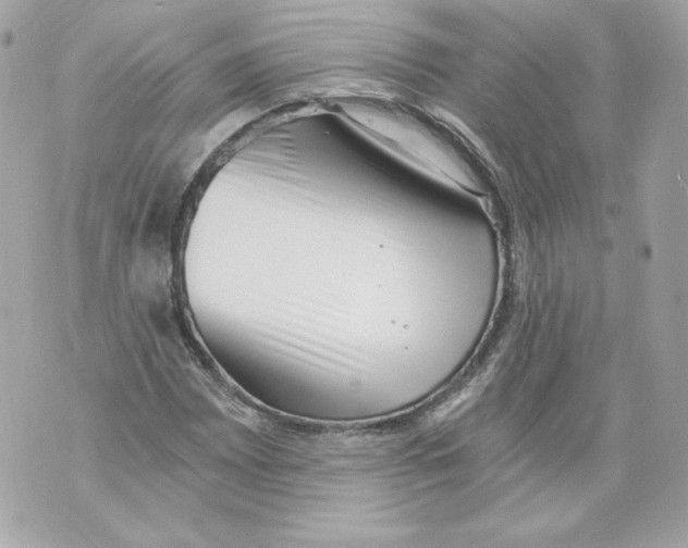 X0000069811065200606161843