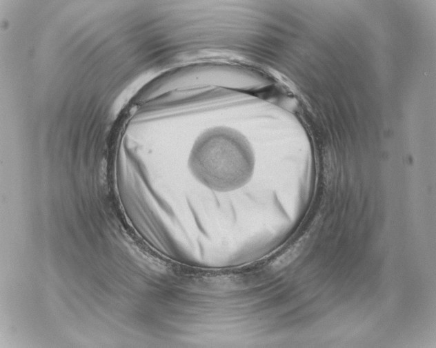 X0000069811066200606161843