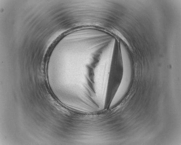 X0000069811068200606161843